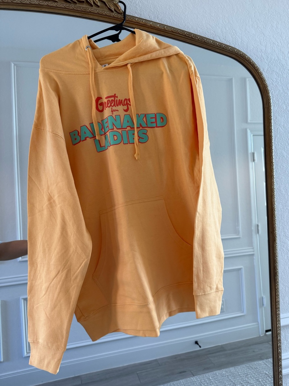 NWOT Bare Naked Ladies Orange Mens Hoodie Casual Pullover Sweatshirt Size Large